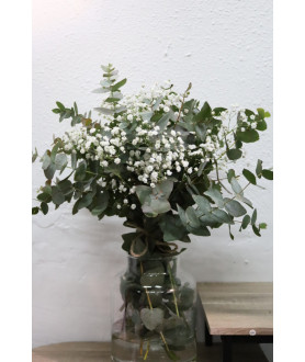 Ram eucalipto i paniculata