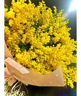 Ramo mimosa