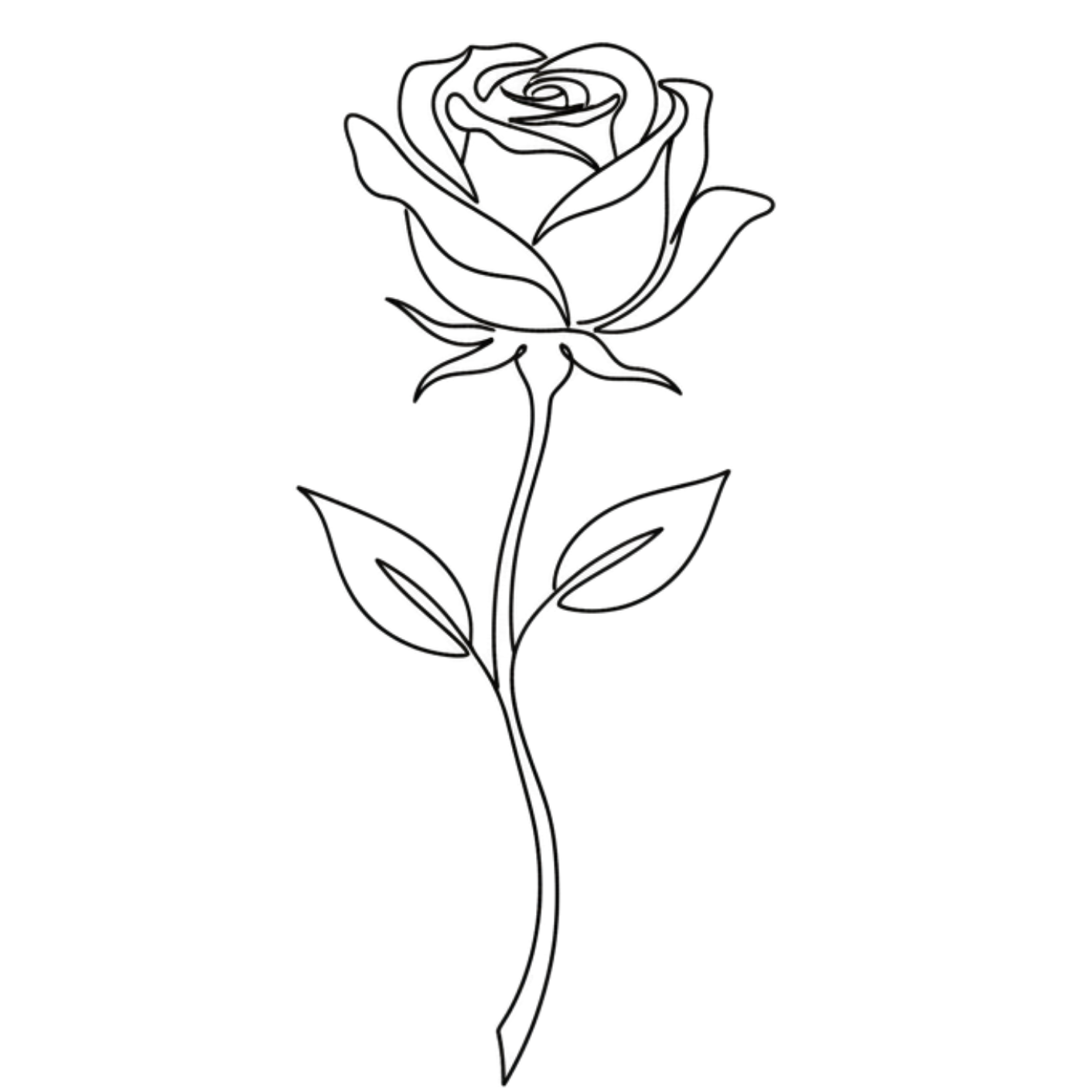 Rosas