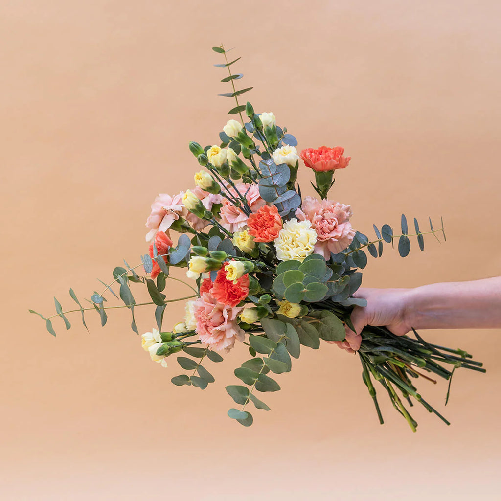 Flores que llegan a ti, cada semana