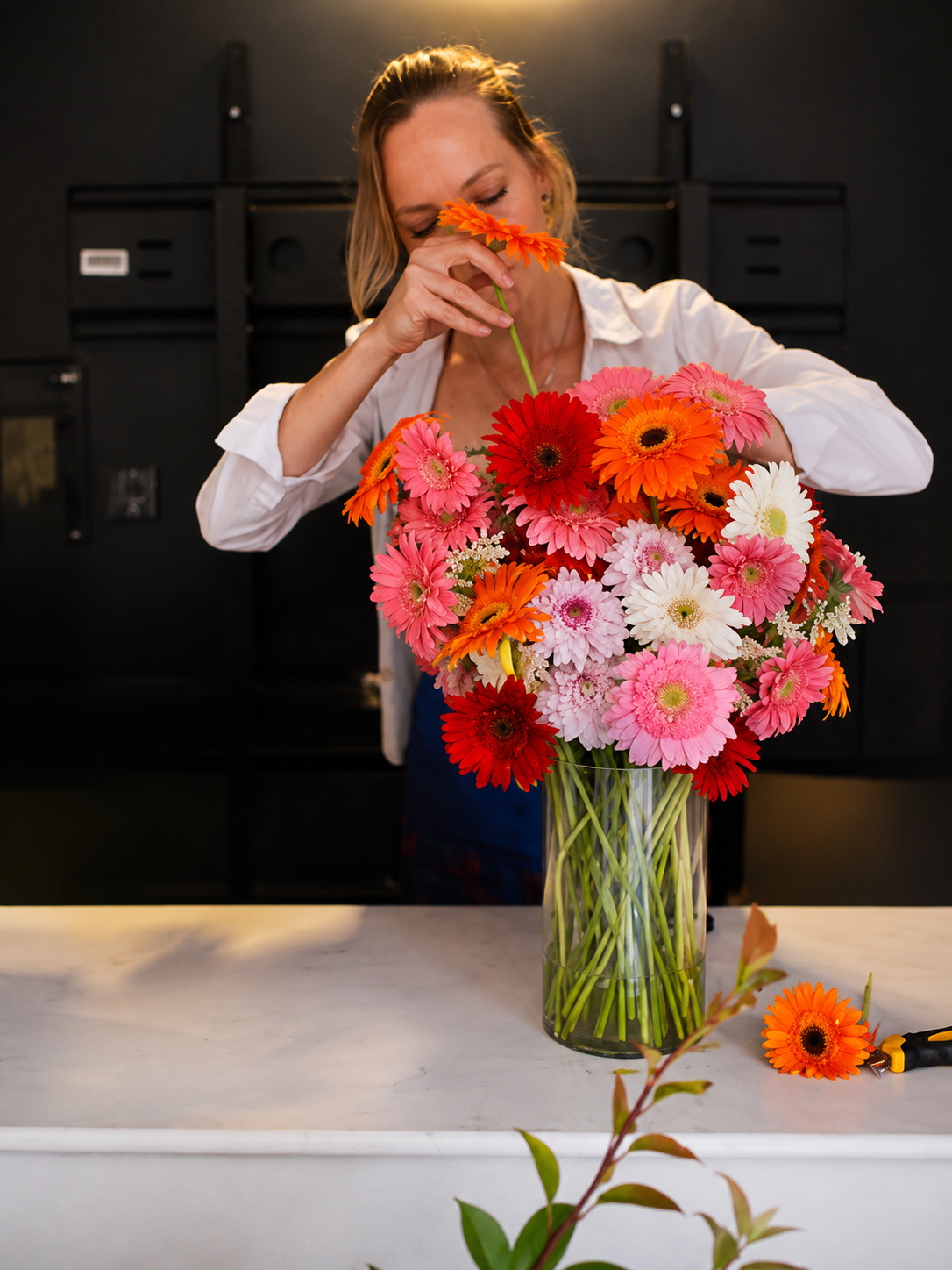 Gerbera Taronja
