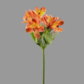 Alstroemeria Naranja 10 Tallos