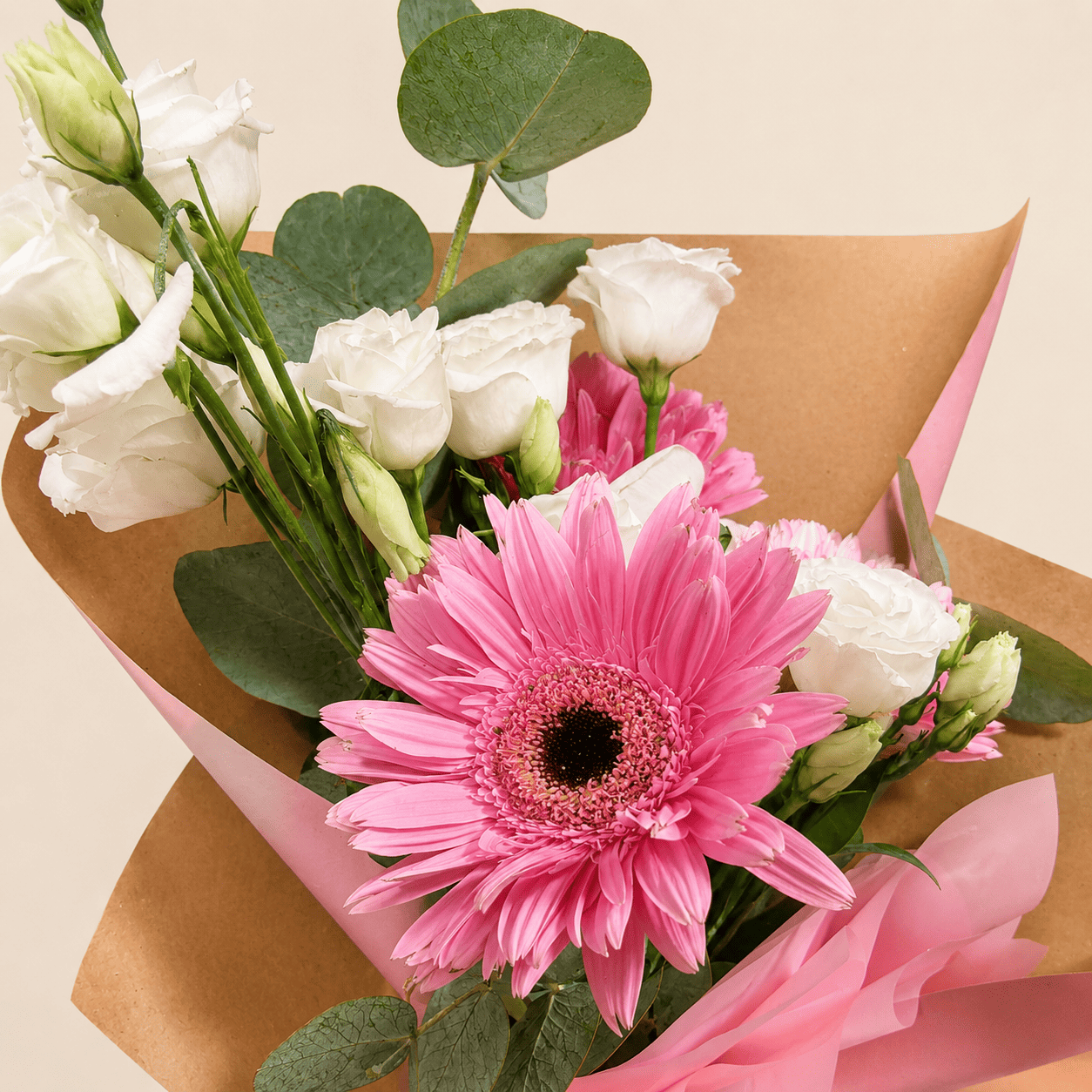 Ramo Gerbera Bloom