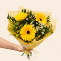 Ramo Gerbera Field