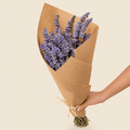 Lavanda Éternelle