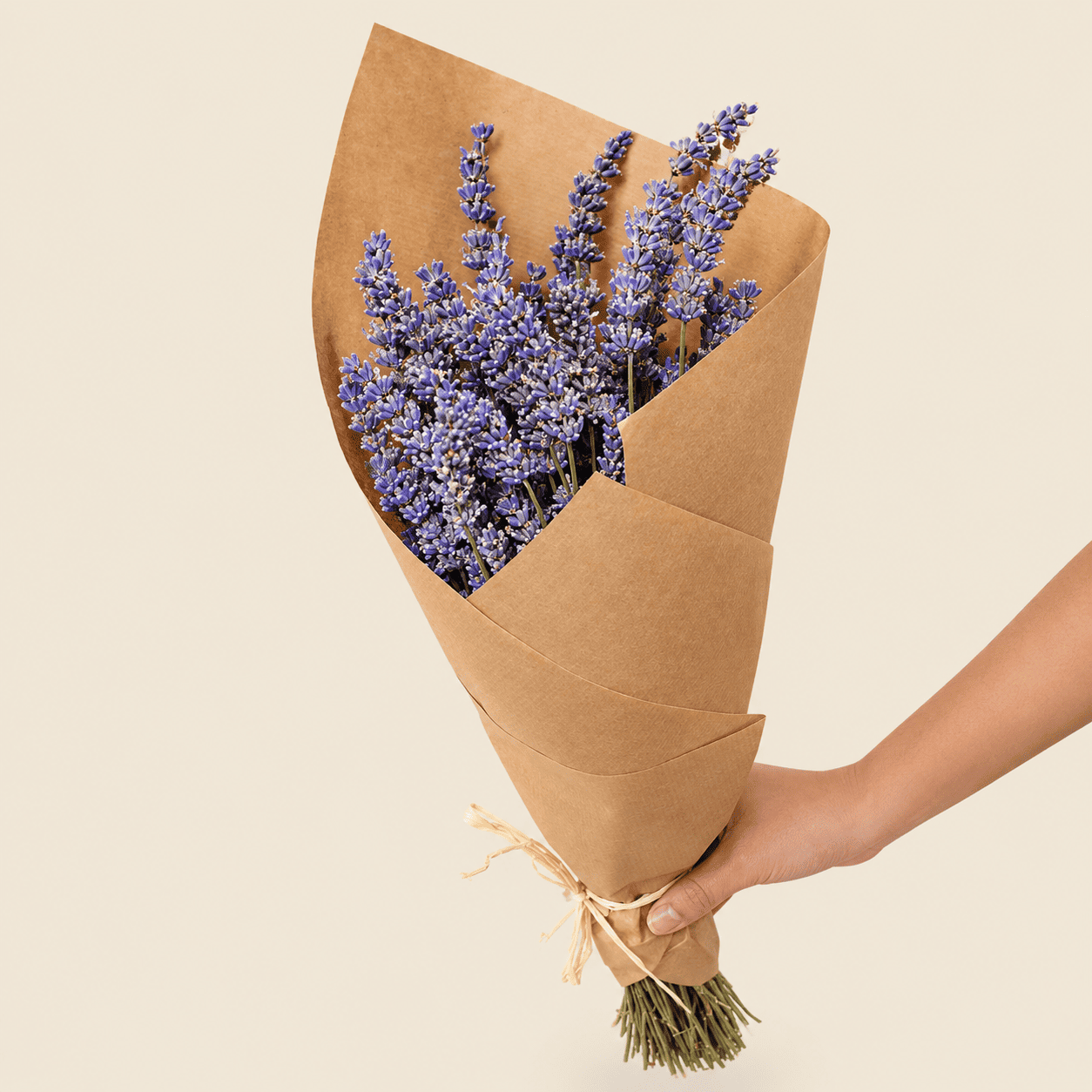 Lavanda Éternelle