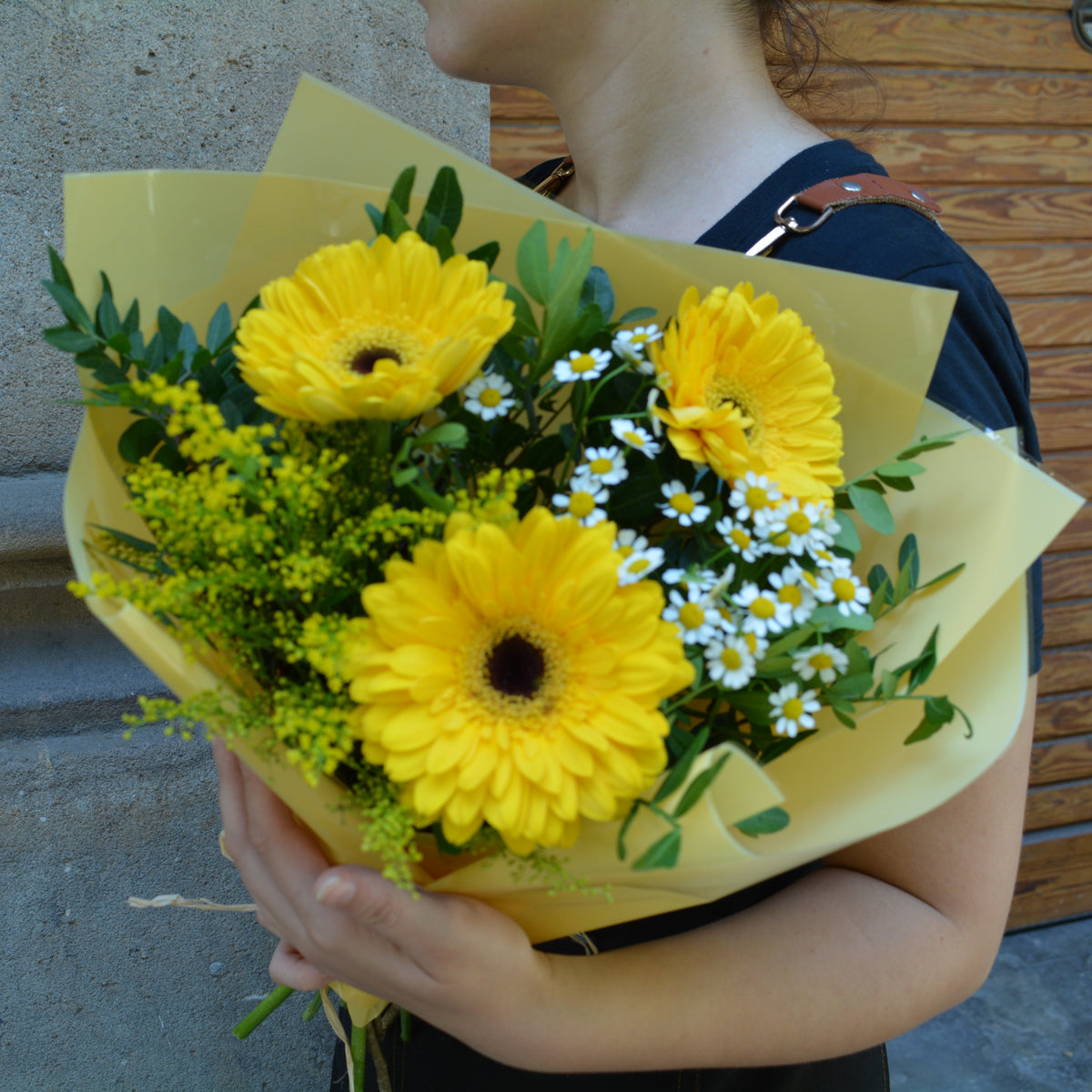 Ramo Gerbera Field
