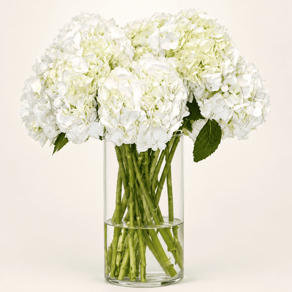 Hortensias