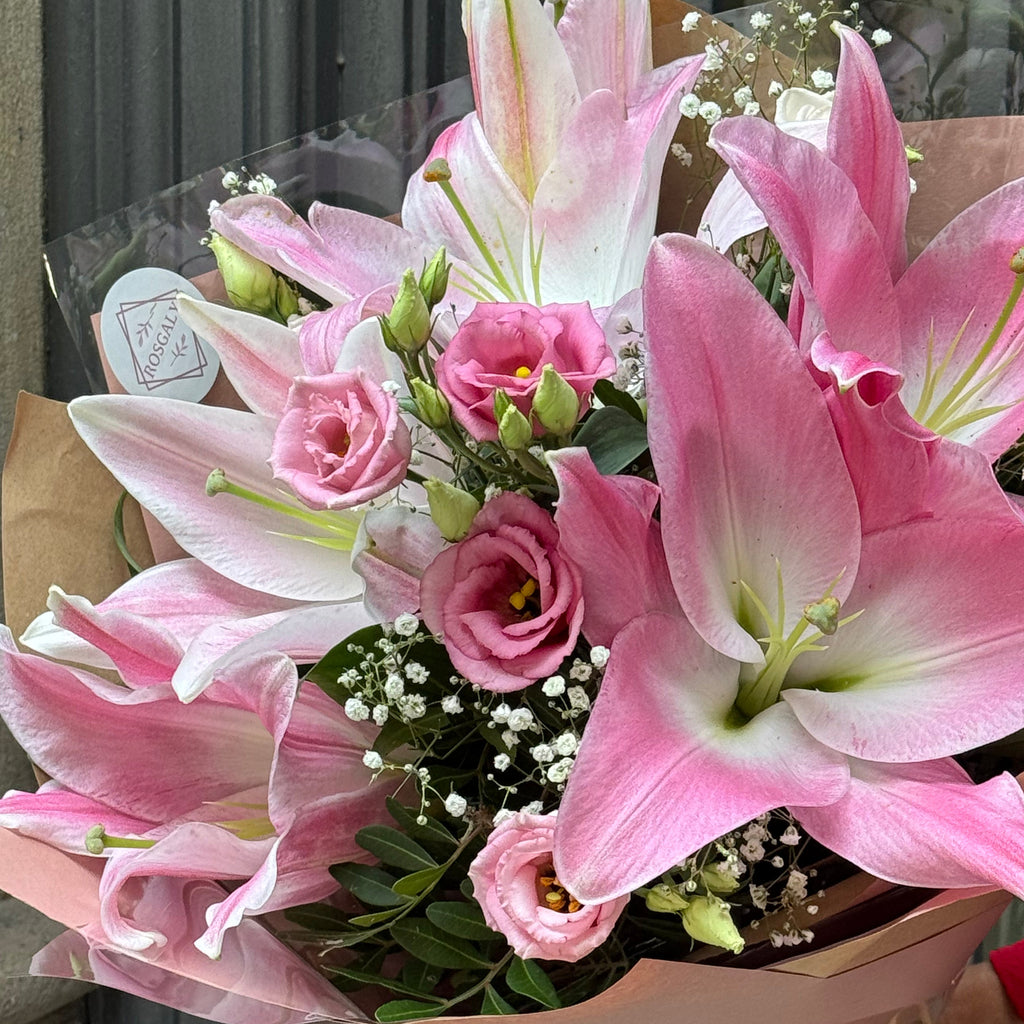 Ramo Stargazer