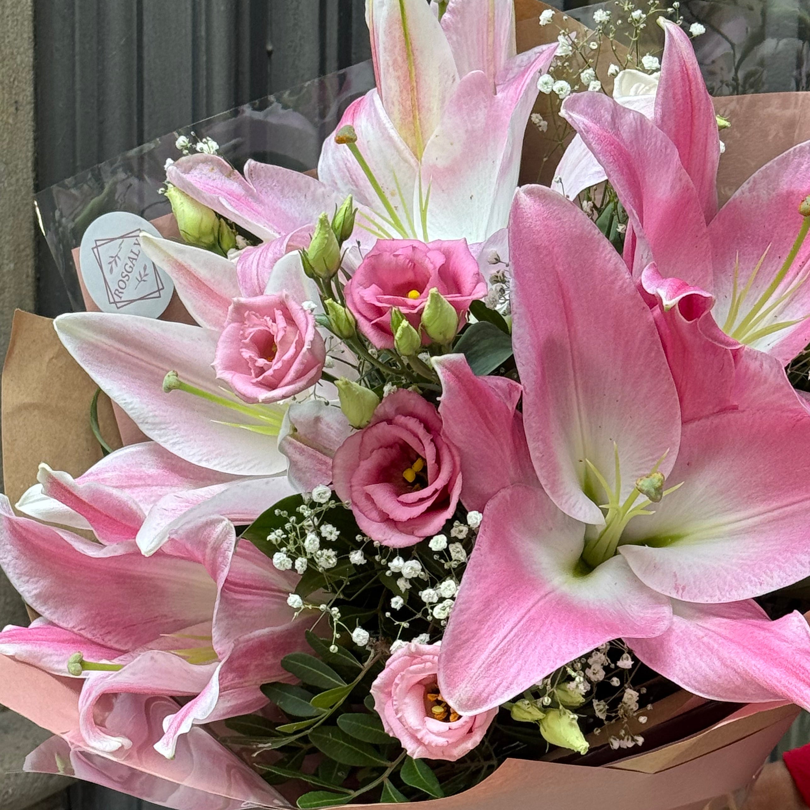 Ramo Stargazer
