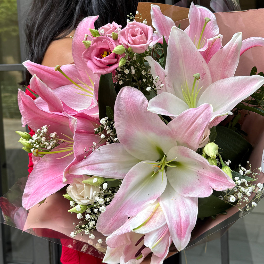 Ramo Stargazer