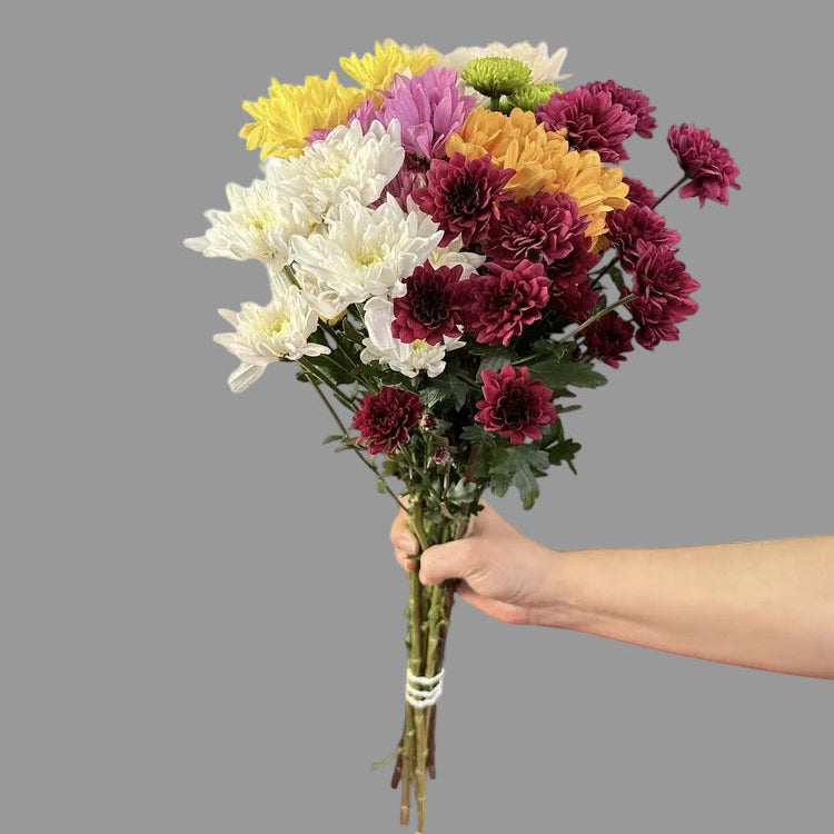 Crisantemo 5 Tallos Granel