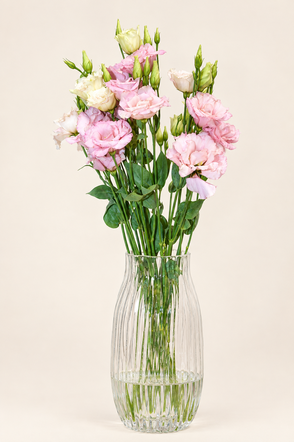 Lisianthus