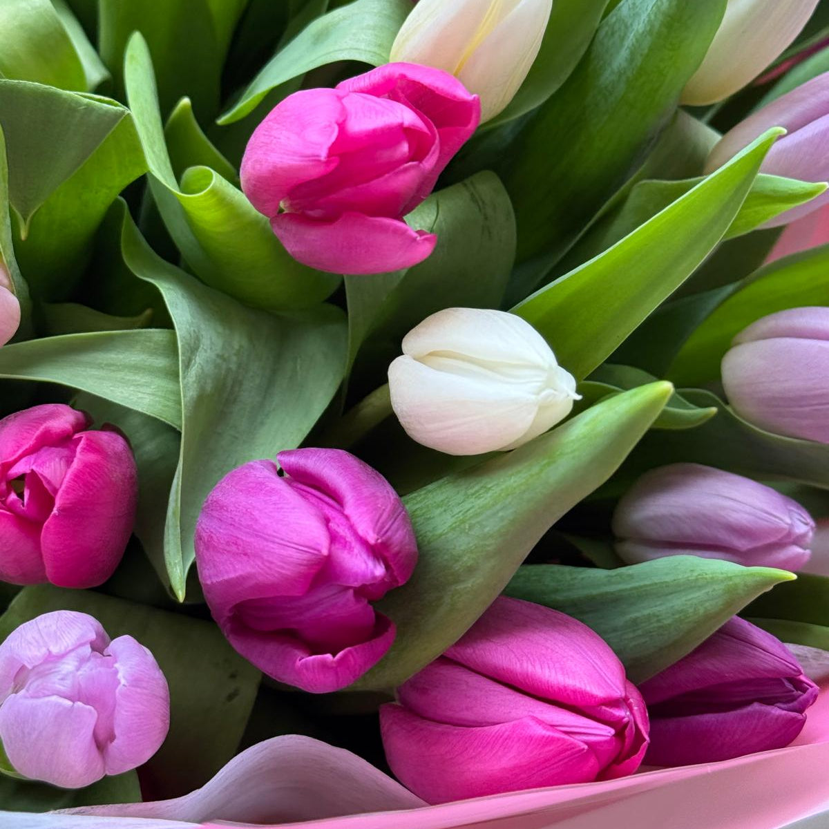 Ramo Tulipán Puro
