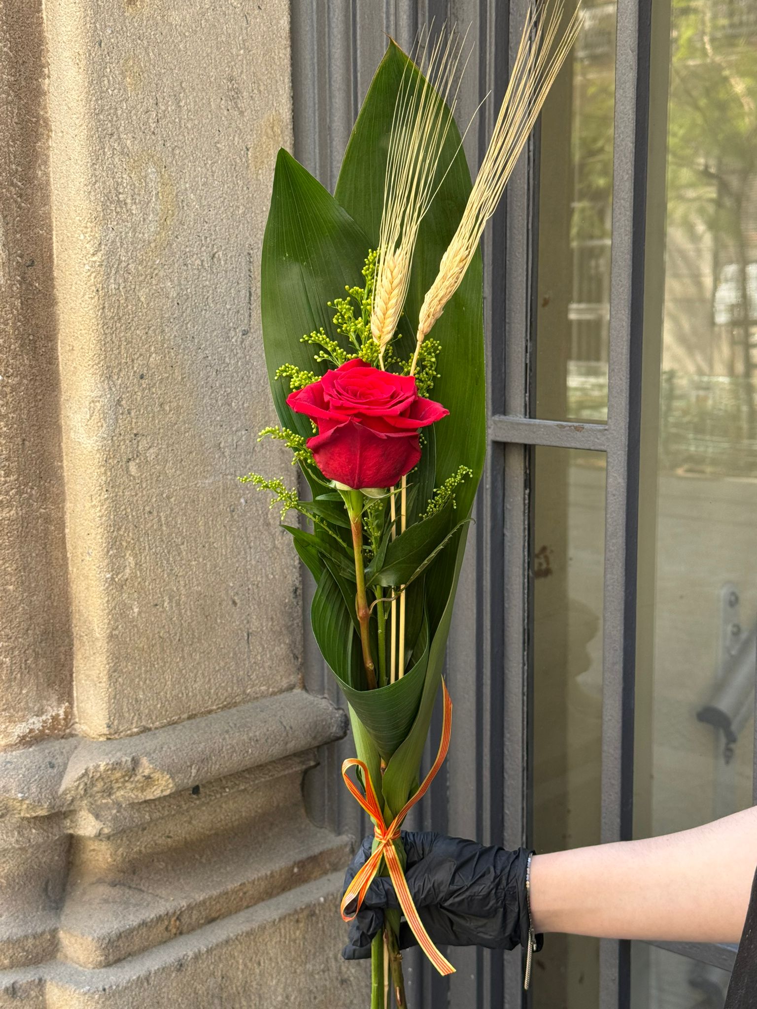 Rosa Pètals i Pàgines