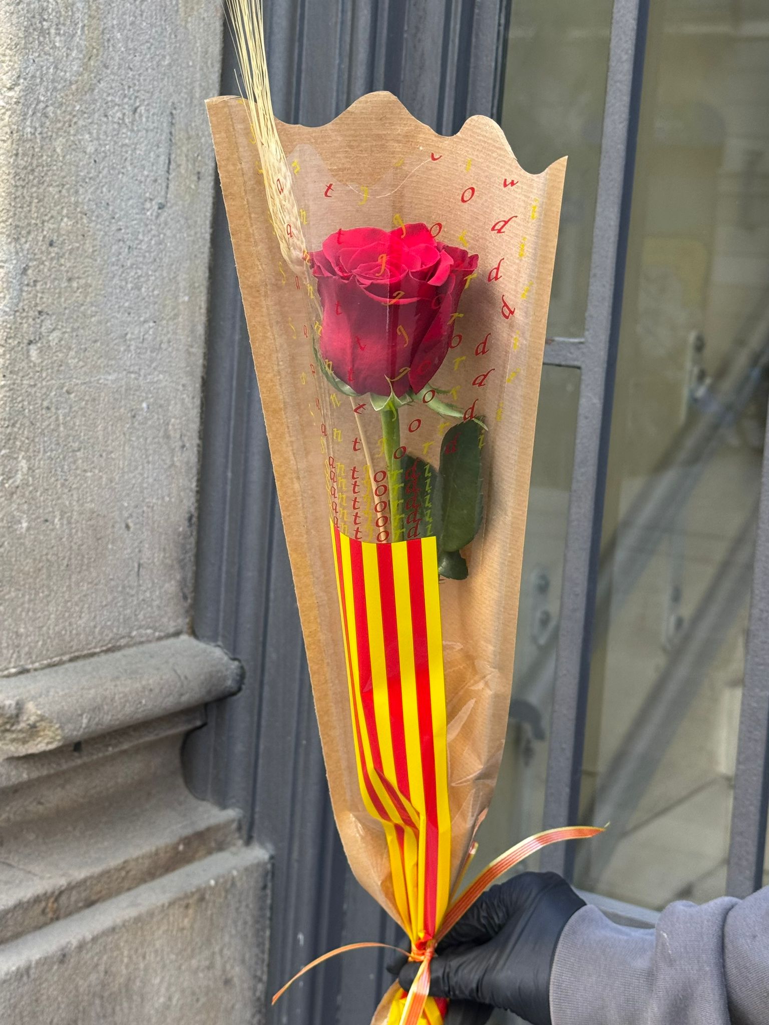 Rosas flor de Caballer