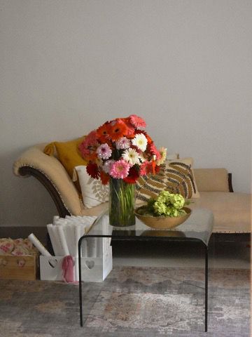 Gerbera Taronja
