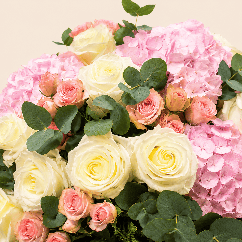 Soft Abundance