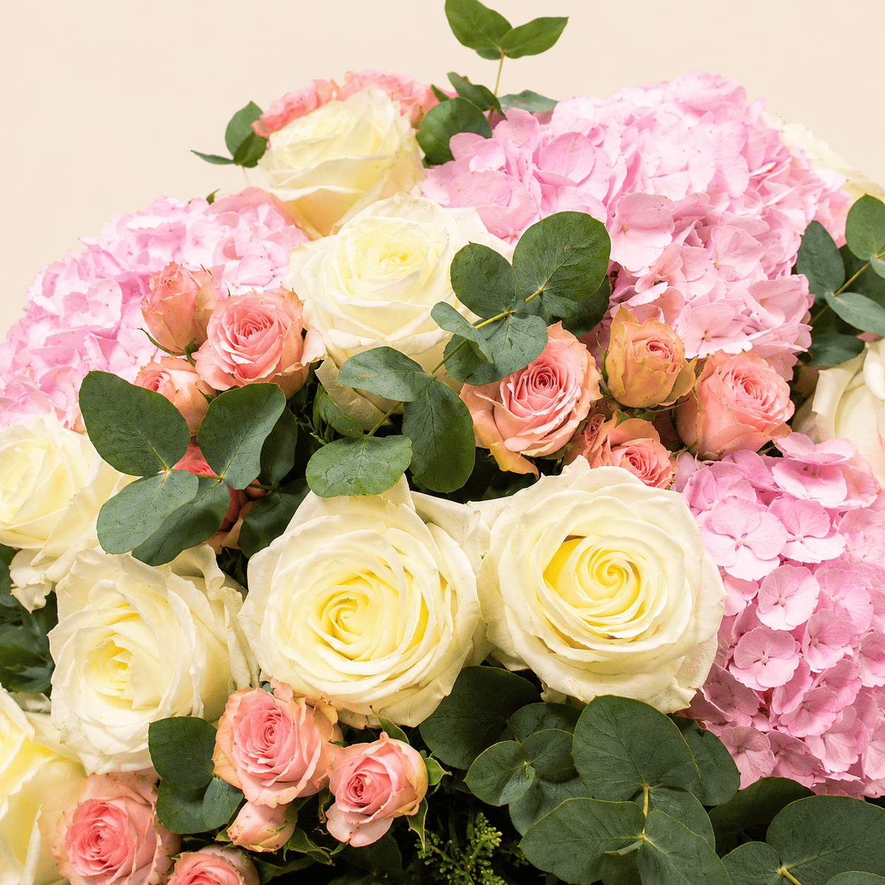 Soft Abundance